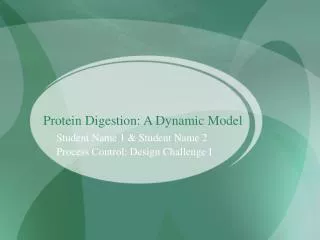 Protein Digestion: A Dynamic Model