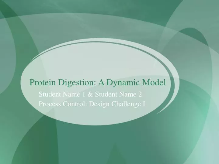 protein digestion a dynamic model