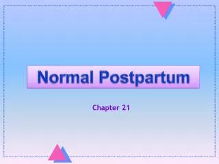 Normal Postpartum