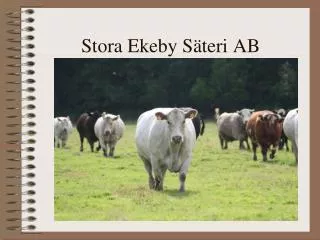stora ekeby s teri ab