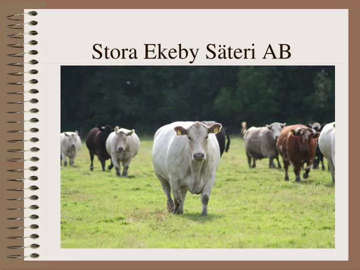 stora ekeby s teri ab