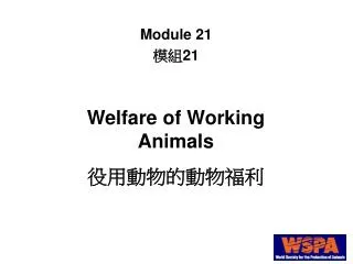 Welfare of Working Animals ?????????