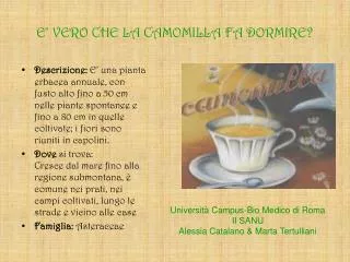 e vero che la camomilla fa dormire