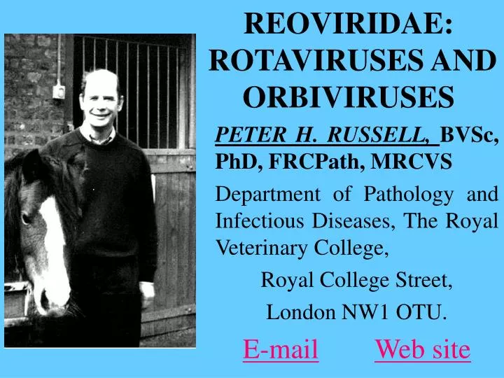 reoviridae rotaviruses and orbiviruses