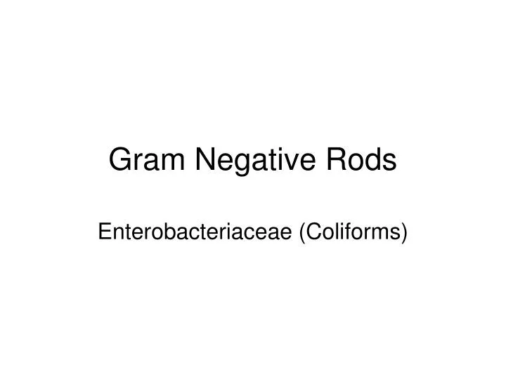gram negative rods