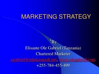 marketing strategy