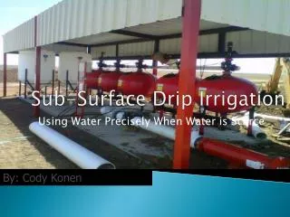 Sub-Surface Drip Irrigation