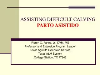 ASSISTING DIFFICULT CALVING PARTO ASISTIDO