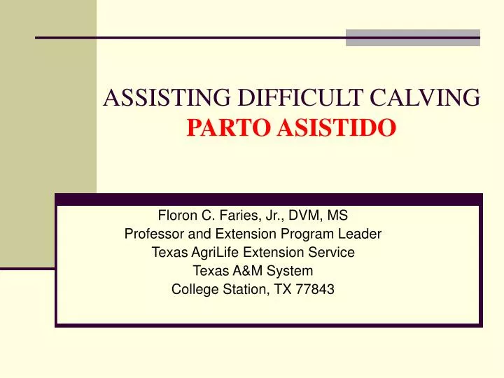 assisting difficult calving parto asistido