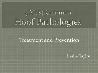 5 Most Common Hoof Pathologies
