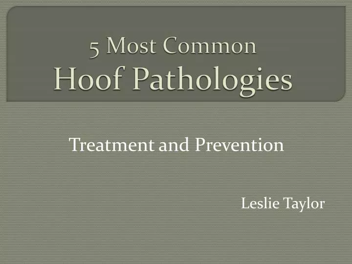 5 most common hoof pathologies