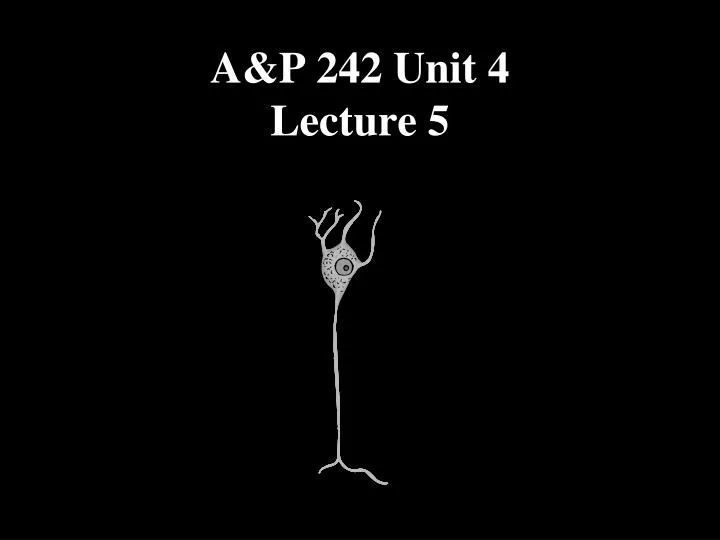 a p 242 unit 4 lecture 5