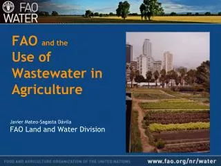 FAO and the Use of Wastewater in Agriculture