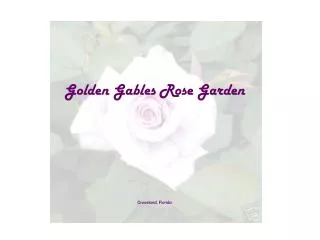 Golden Gables Rose Garden Groveland, Florida
