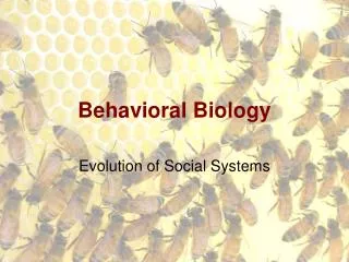 Behavioral Biology