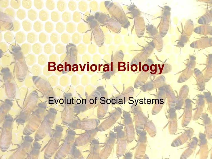 behavioral biology