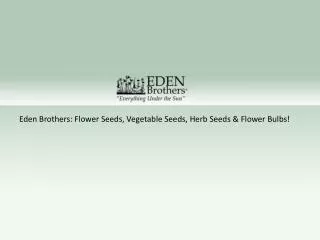 Seeds & Flower Bulbs At Affordable Price ??? Eden Brothers