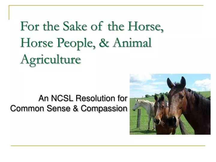 for the sake of the horse horse people animal agriculture