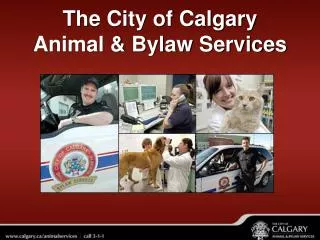 The City of Calgary Animal &amp; Bylaw Services
