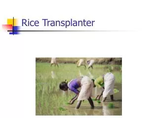 Rice Transplanter