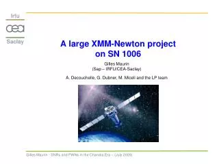 A large XMM-Newton project on SN 1006