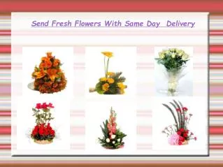 Send Fresh Flowers With Same Day Delivery