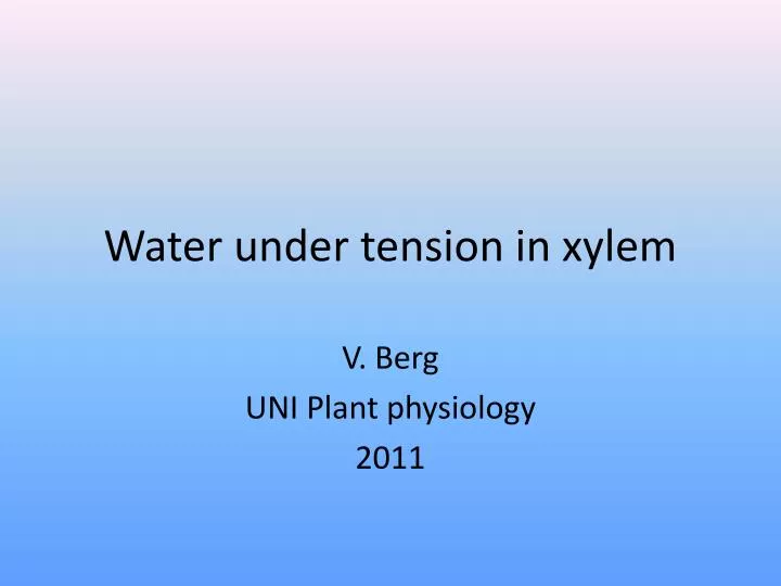 water under tension in xylem
