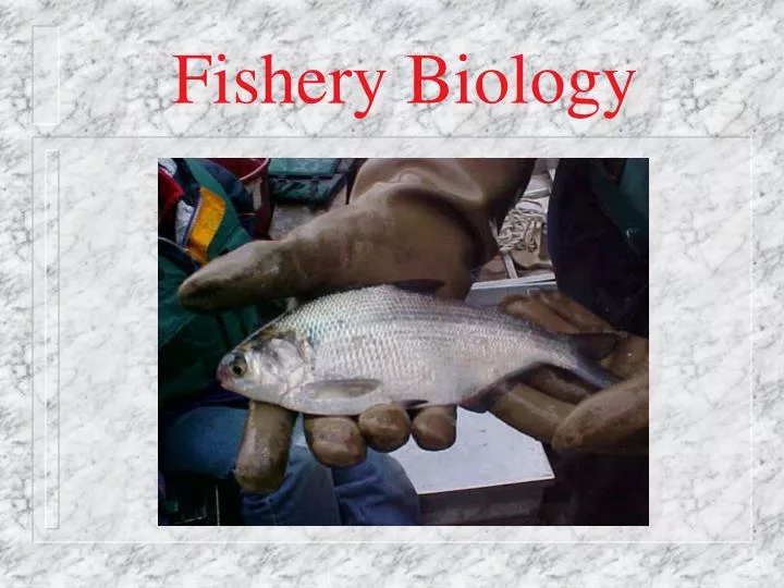 fishery biology