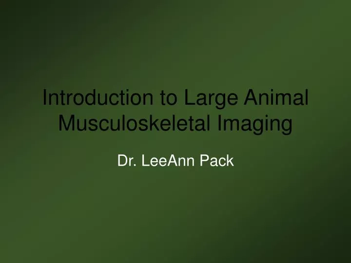 introduction to large animal musculoskeletal imaging