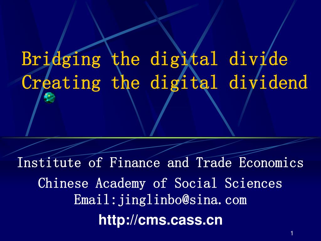 PPT - Bridging the digital divide Creating the digital dividend ...