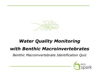 Water Quality Monitoring with Benthic Macroinvertebrates Benthic Macroinvertebrate Identification Quiz