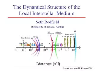 The Dynamical Structure of the Local Interstellar Medium