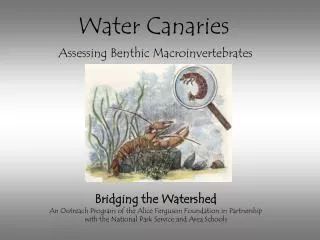 Bridging the Watershed An Outreach Program of the Alice Ferguson Foundation in Partnership with the National Park Servi