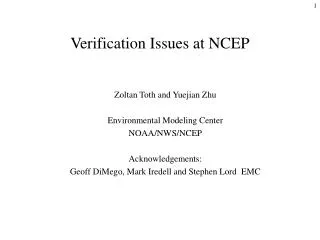 Verification Issues at NCEP