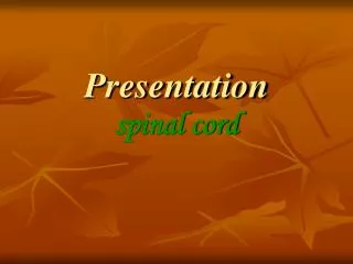 Presentation spinal cord