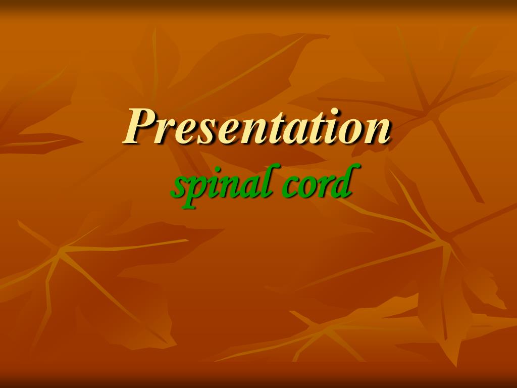 PPT - Presentation spinal cord PowerPoint Presentation, free download ...