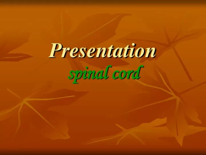 presentation spinal cord
