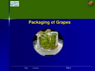 Packaging of Grapes