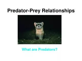 Predator-Prey Relationships