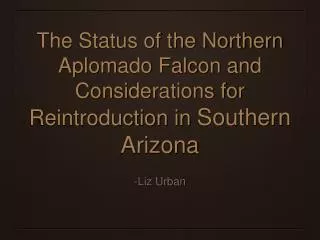 The Status of the Northern Aplomado Falcon and Considerations for Reintroduction in Southern Arizona