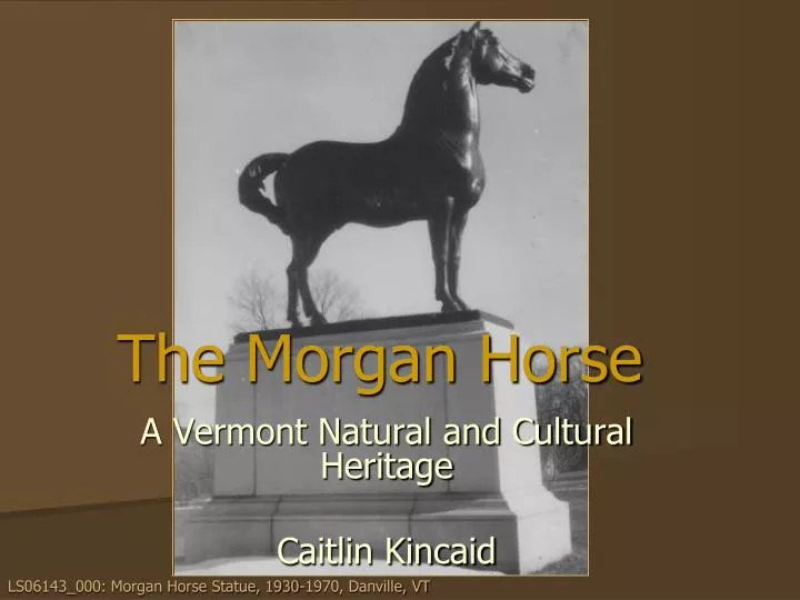 a vermont natural and cultural heritage caitlin kincaid