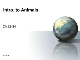 Intro. to Animals