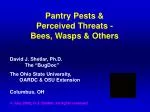 Pantry Pests &amp; Perceived Threats - Bees, Wasps &amp; Others