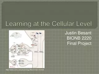 Learning at the Cellular Level