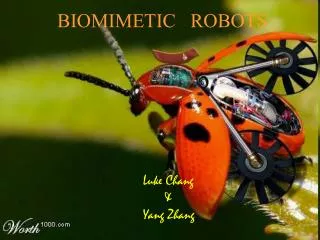 BIOMIMETIC ROBOTS