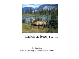 Lesson 4: Ecosystems