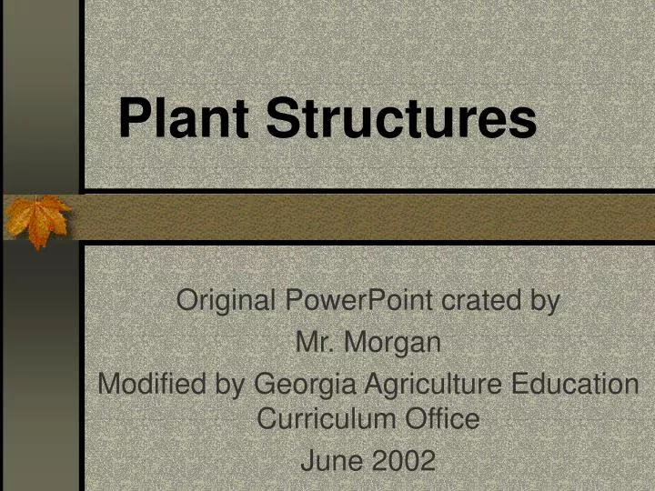 plant structures