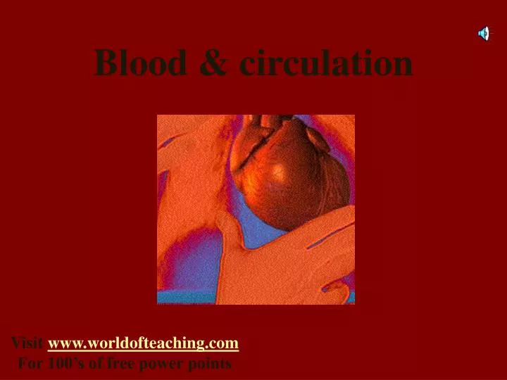 blood circulation