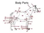 Body Parts - slide 1