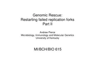 Genomic Rescue: Restarting failed replication forks Part II